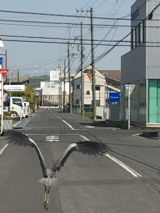 Sompoケア そんぽの家 福山城東 ホームだより 介護付きホーム 介護付有料老人ホーム 公式 Sompoケア