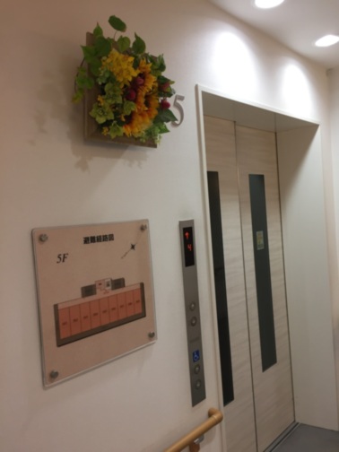 公式 Sompoケア そんぽの家ｓ堀切菖蒲園 ホームだより サービス付き高齢者向け住宅 Sompoケア