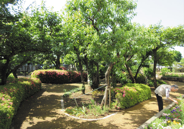 中庭の花をお手入れするご入居者さま