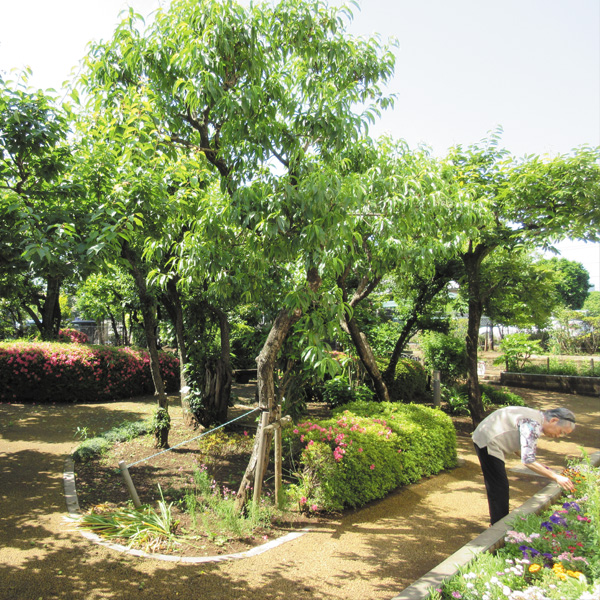 2018年9月度 中庭からご入居者さまを元気に