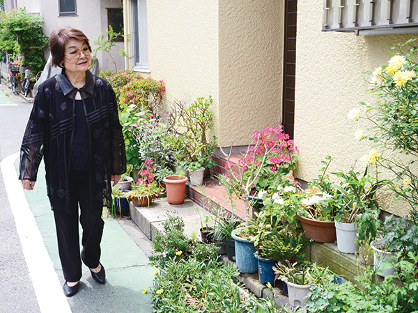 散歩では、きれいな花を見て楽しんでいます。