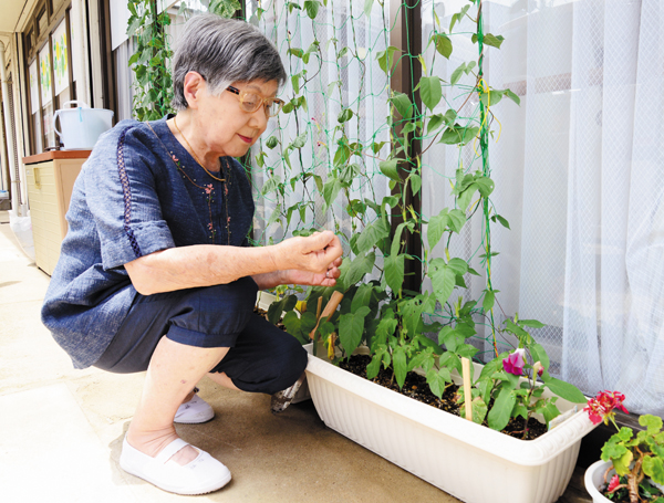 プランターのヘチマや朝顔など、いつも丁寧に手入れをしてくださいます。